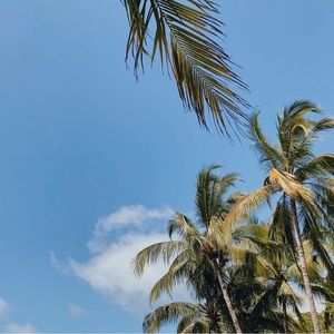 Meet your Posher, Kristina